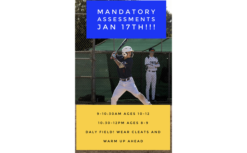 Assessments January 17th 